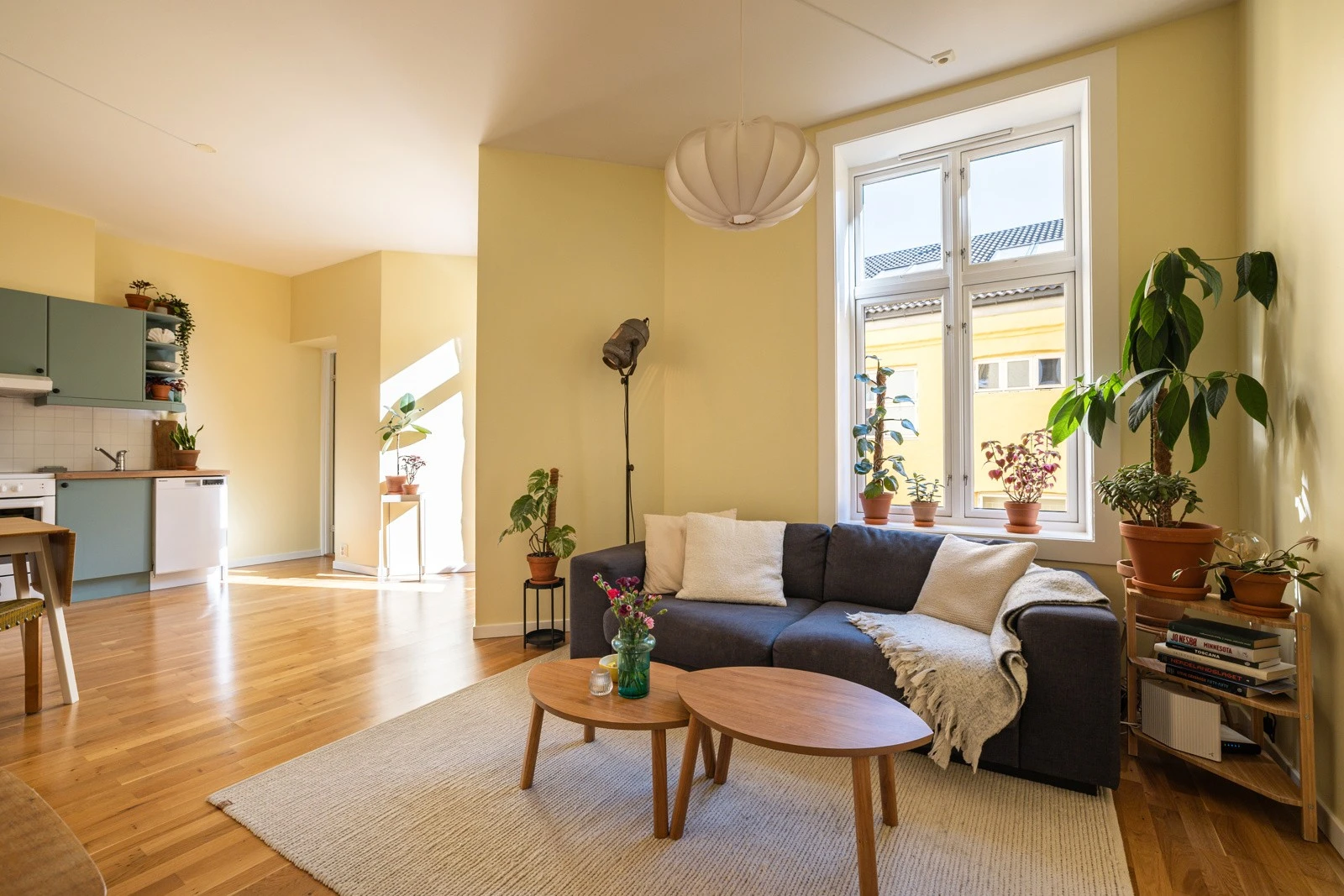 Hus 6